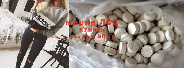 трава Карпинск