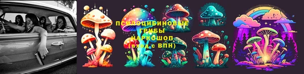 тгк Карталы