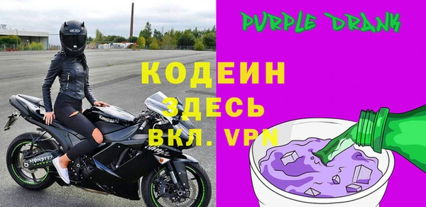 трава Карпинск