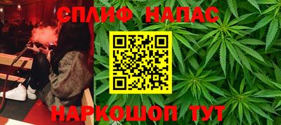 индика Мариинск