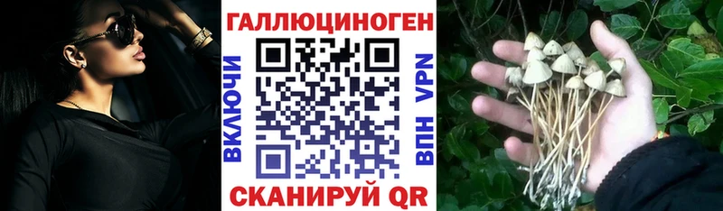 площадка какой сайт  Камень-на-Оби  Псилоцибиновые грибы MAGIC MUSHROOMS 