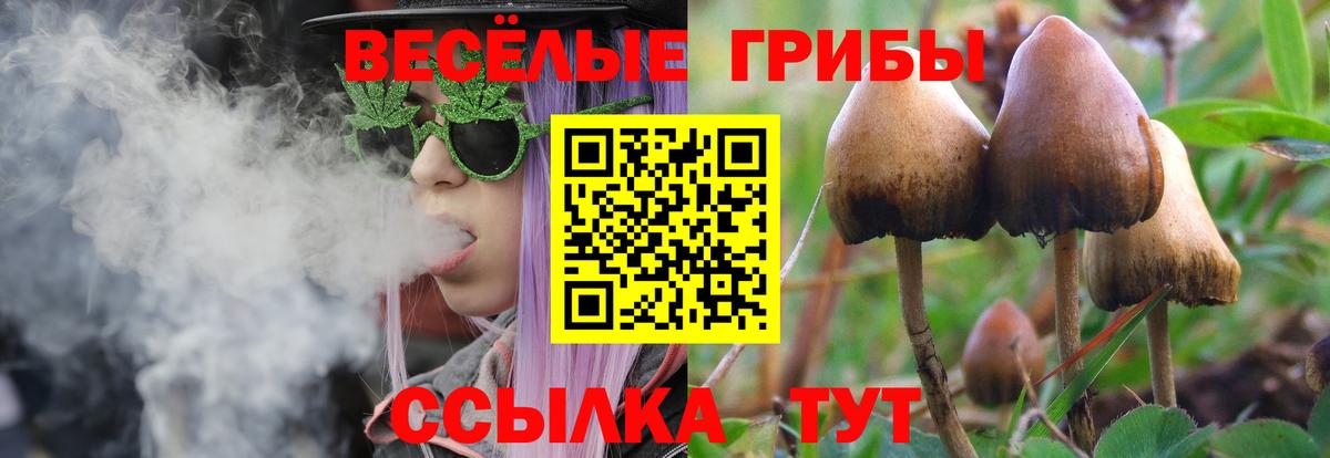 Галлюциногенные грибы мицелий Камень-на-Оби