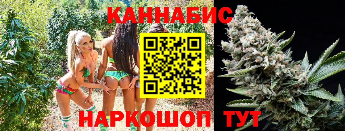 Камень-на-Оби  Бошки Шишки сатива  Каннабис планчик  Вход с VPN 